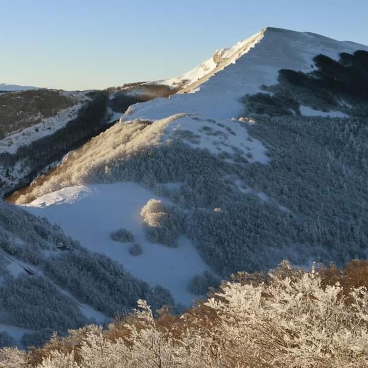 Villard De Lans Zewnętrze zdjęcie