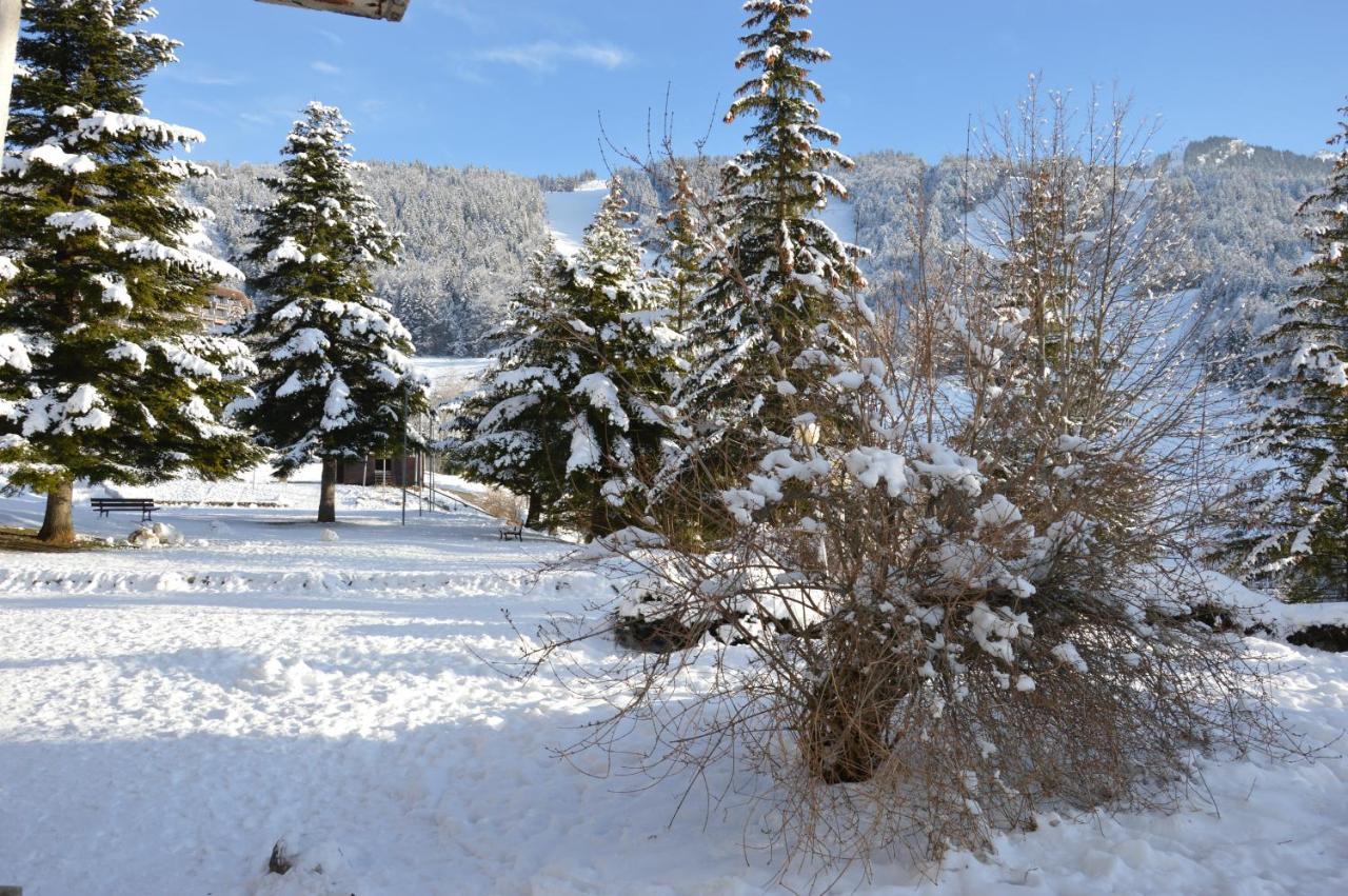 Villard De Lans Zewnętrze zdjęcie